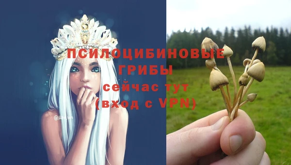 дурь Россошь