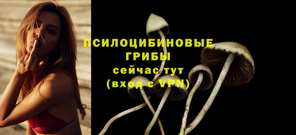 дживик Абаза