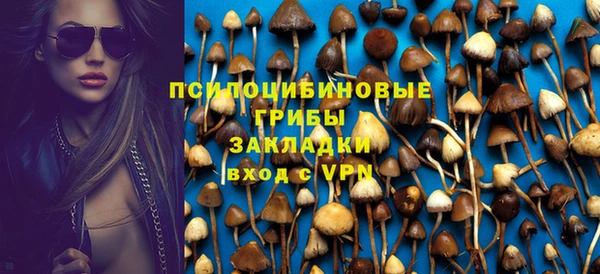 дурь Россошь