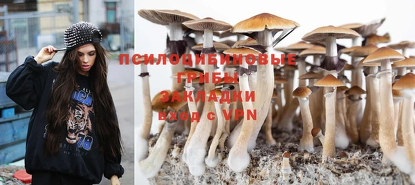 герыч Дедовск