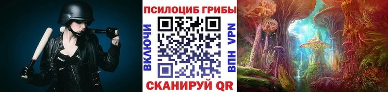 Галлюциногенные грибы Psilocybine cubensis omg вход Абаза